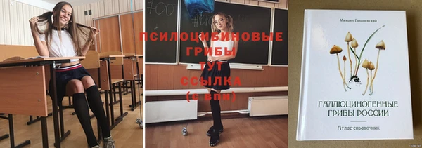 mix Кодинск