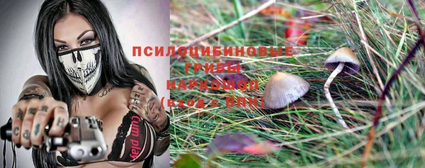 тгк Козельск