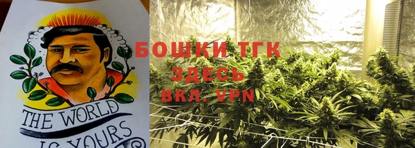тгк Козельск