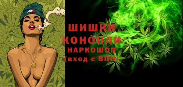 spice Козловка