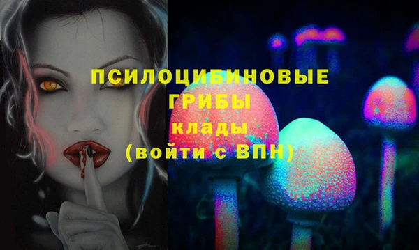 тгк Козельск