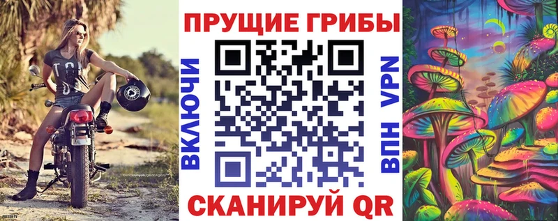 Псилоцибиновые грибы ЛСД  как найти наркотики  Октябрьский 