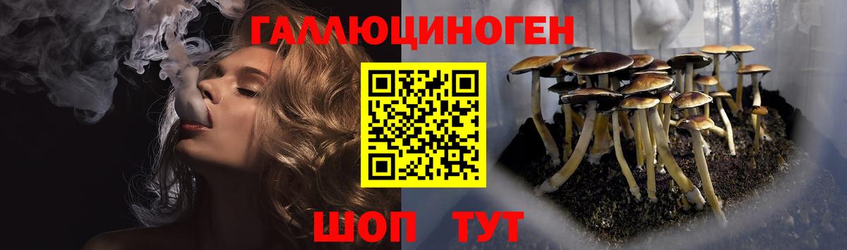 Псилоцибиновые грибы Psilocybe Октябрьский